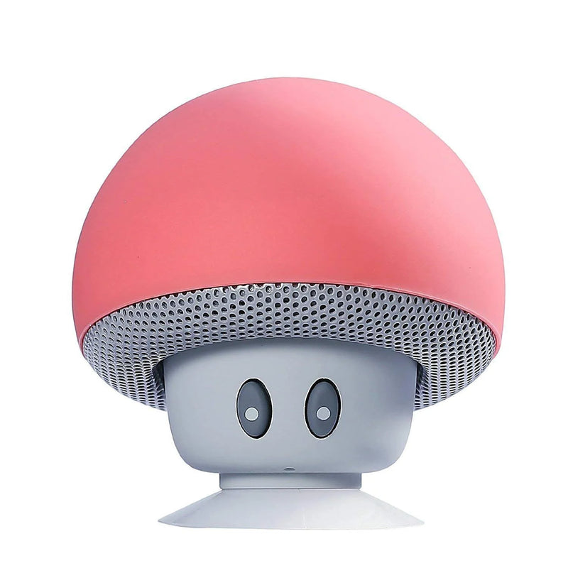 Wireless Bluetooth Speaker with 30ft Range, Powerful Subwoofer & Suction Cup Mount
