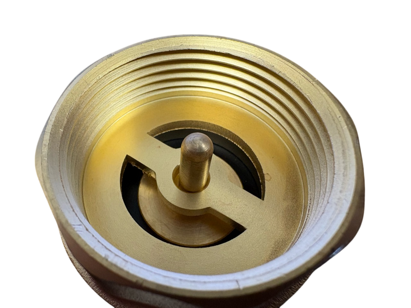 Brass Spring Check Valve 2" BSPF