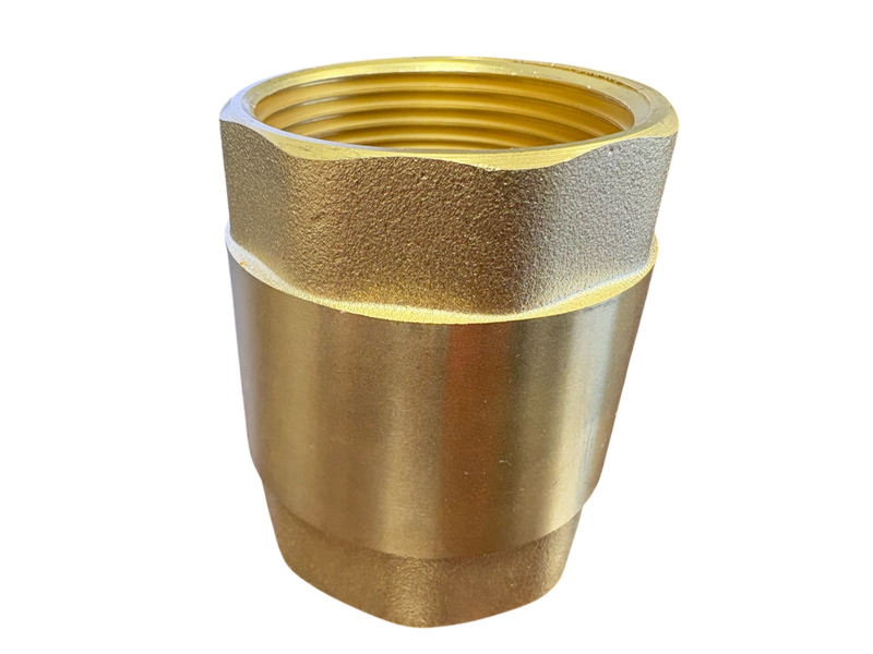 Brass Spring Check Valve 2" BSPF