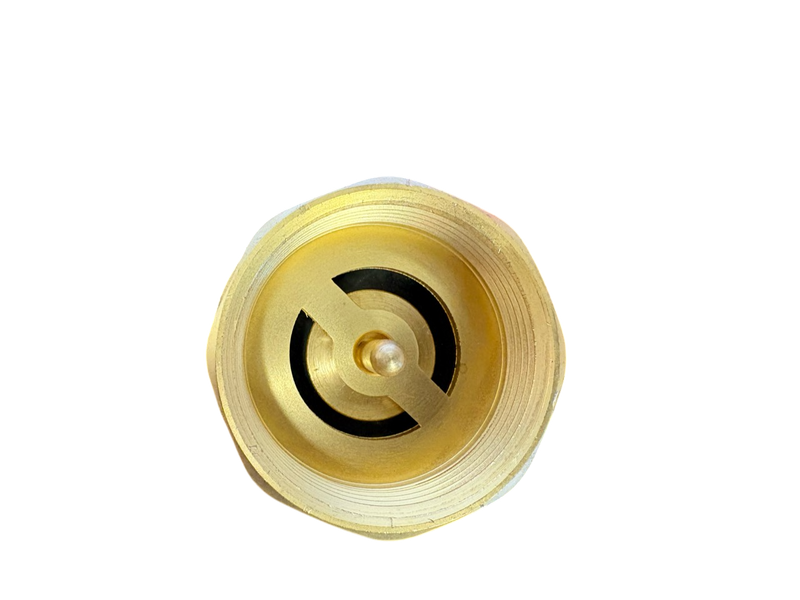 Brass Spring Check Valve 3/4" BSPF