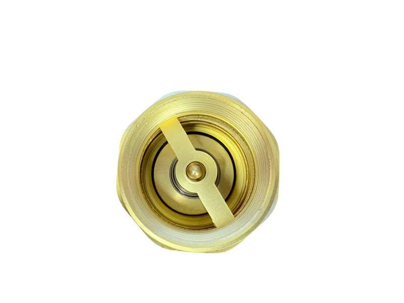 Brass Spring Check Valve 2" BSPF