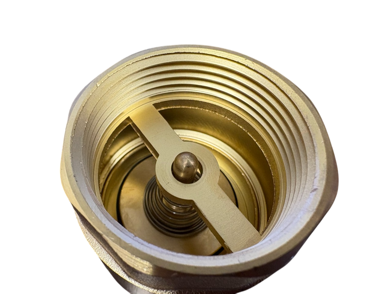 Brass Spring Check Valve 1/2" BSPF