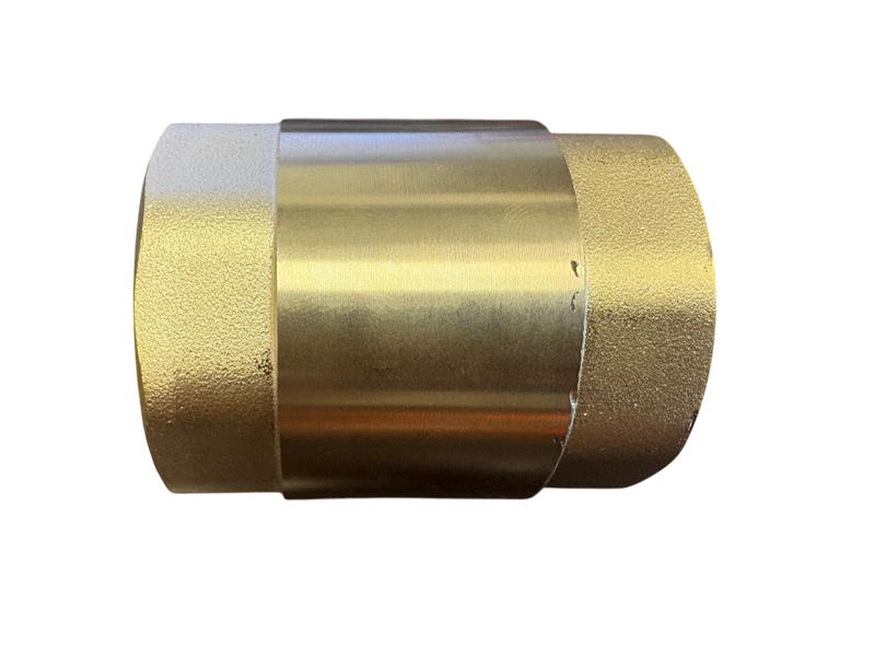 Brass Spring Check Valve 2" BSPF