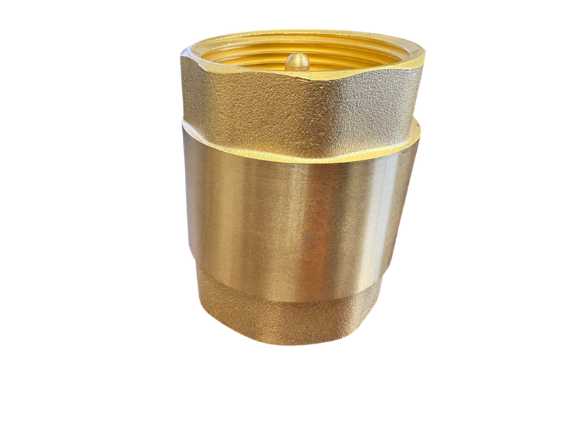 Brass Spring Check Valve 2" BSPF