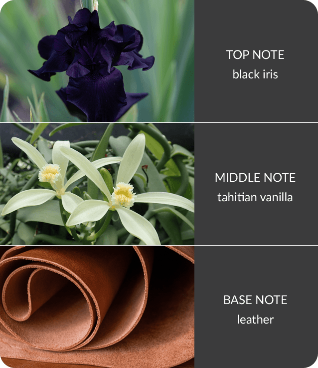 Heart & Home Black Vanilla Twin Wick Ellipse Soy Candle - 40 Hours Burn