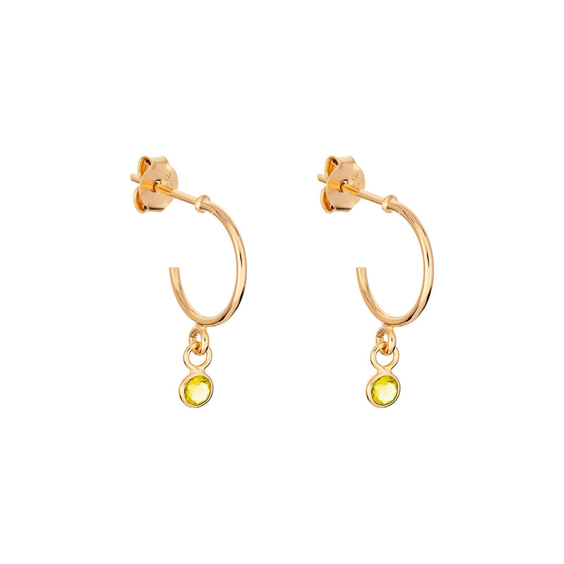 November Birthstone Hoop Earrings