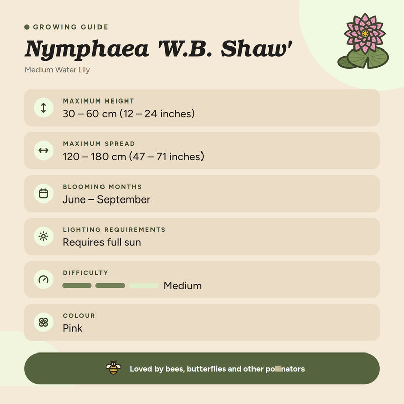 Nymphaea 'W.B. Shaw'