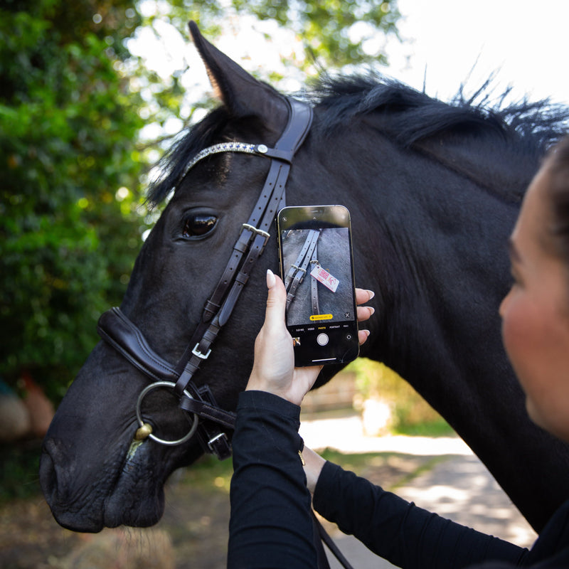 Equine Emergency Tag (EnduroTag)
