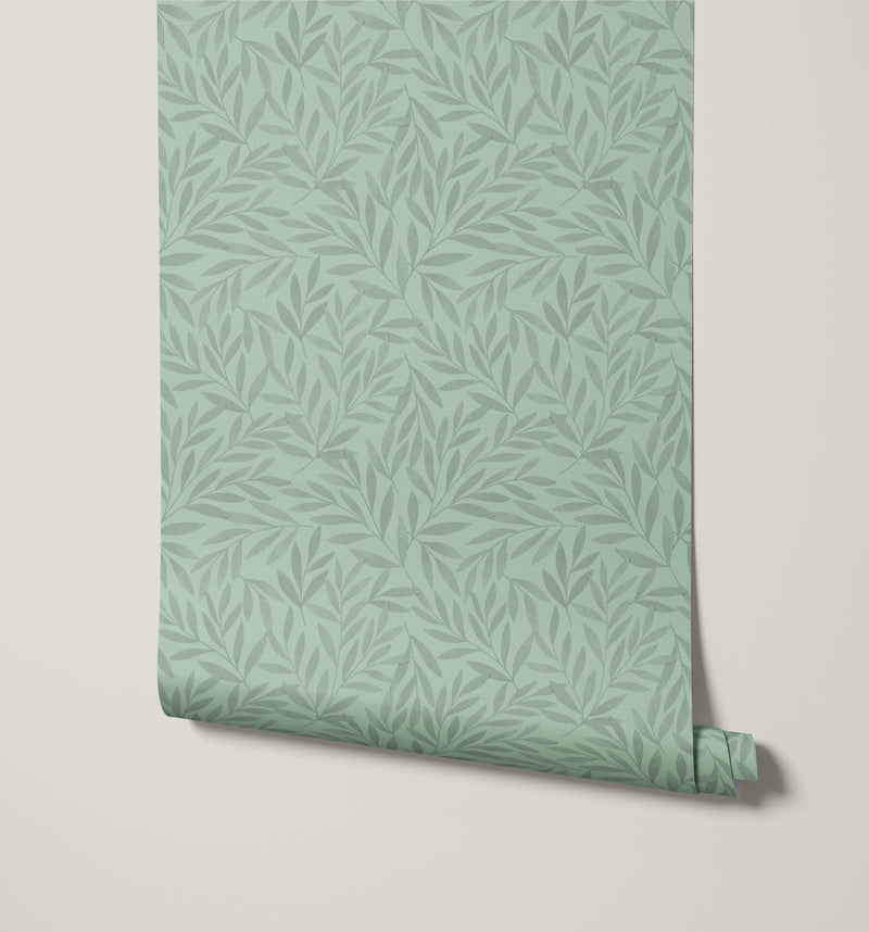 Olea