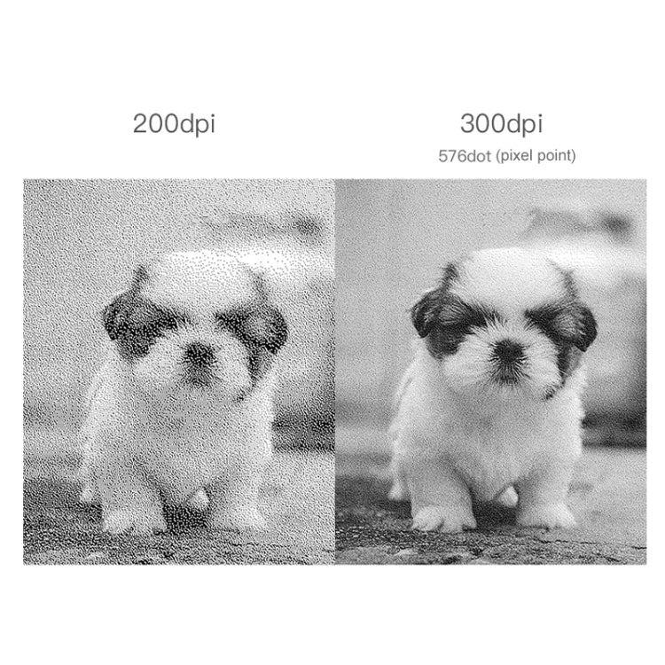 PAPERANG P2 Portable Bluetooth Printer Thermal Photo Phone Wireless Connection Printer, P2 White