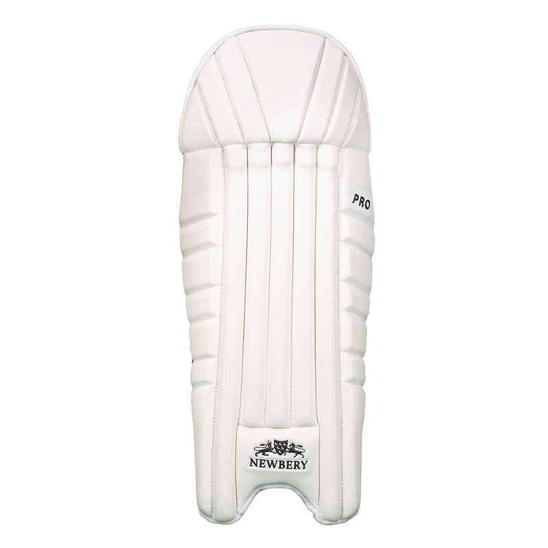 Pro Cricket Wicket-Keeping Pads