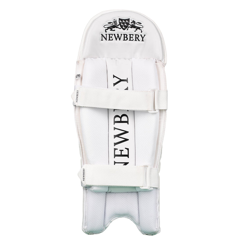Pro Cricket Wicket-Keeping Pads
