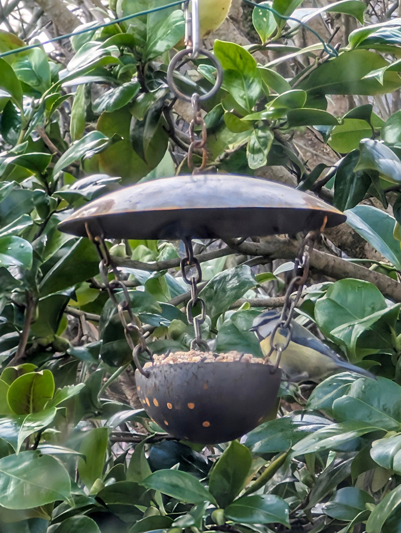 Chain Hanging Bird Feeder