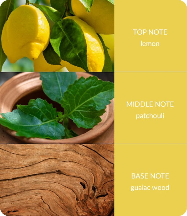 Patchouli & Guaiac Wood Fragrance Diffuser -70ml - Up to 12 Weeks of Fragrance