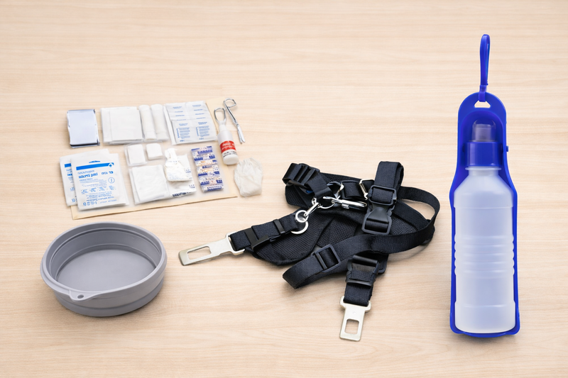 Pet Travel Kit