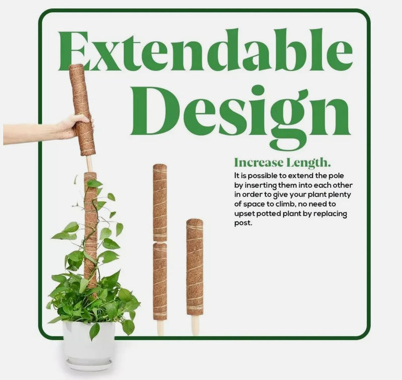 Bendable Moss Pole Plant Support 2 Pack 63.5cm Climbing Stakes