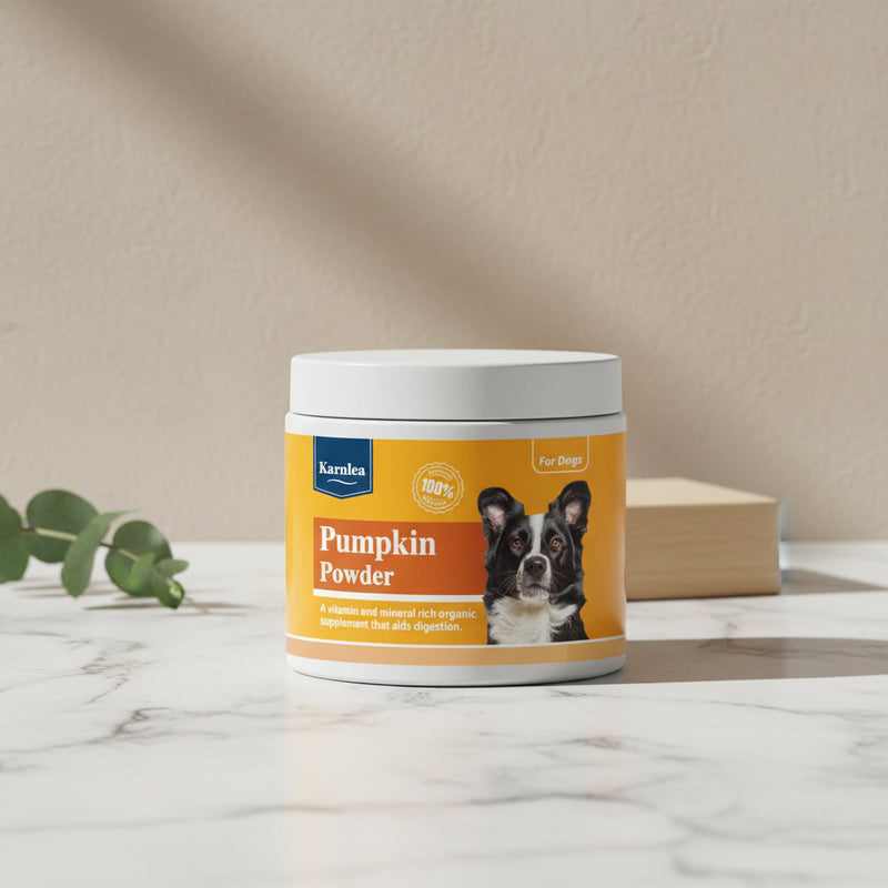 Pumpkin Powder - 200g