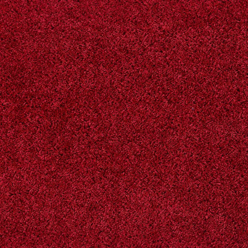 Washable Red Shaggy Rug