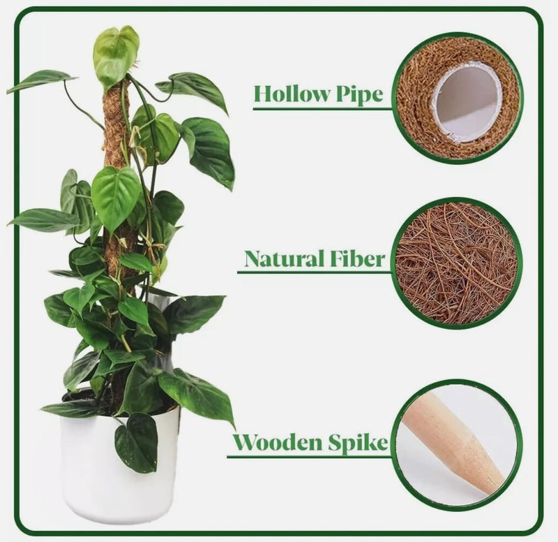 Bendable Moss Pole Plant Support 2 Pack 63.5cm Climbing Stakes