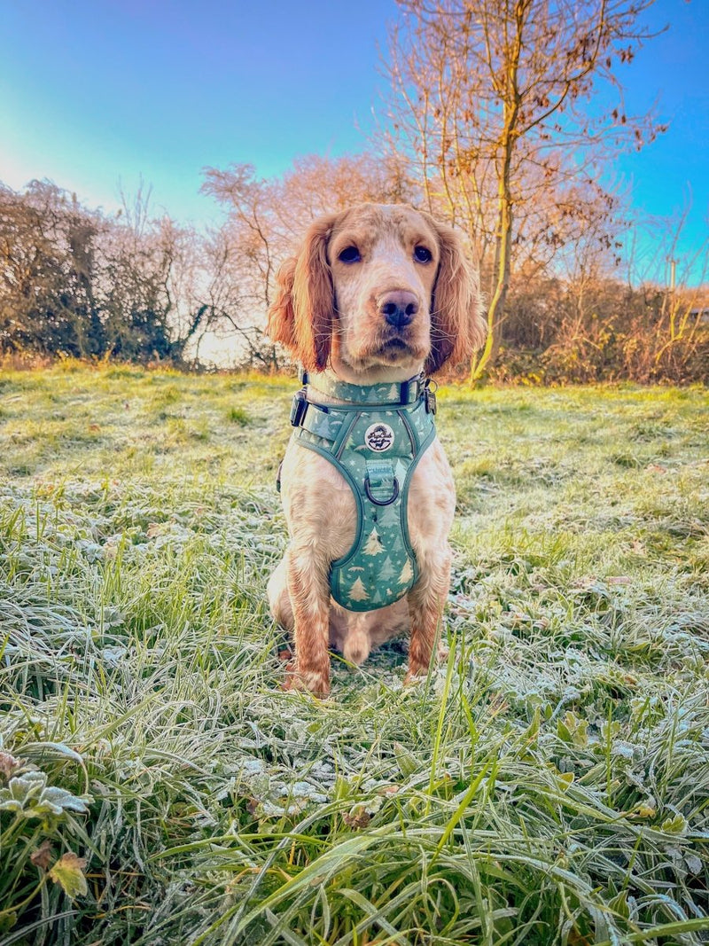 PupClub Dog Collar - Evergreen Trails