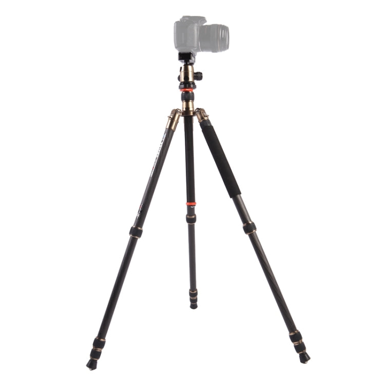 Triopo GT-2504X8.C Adjustable Portable Carbon Fiber Tripod with B-1 Aluminum Ball Head for Canon Nikon Sony DSLR Camera, GT-2504X8.C (Black), GT-2504X8.C (Gold)