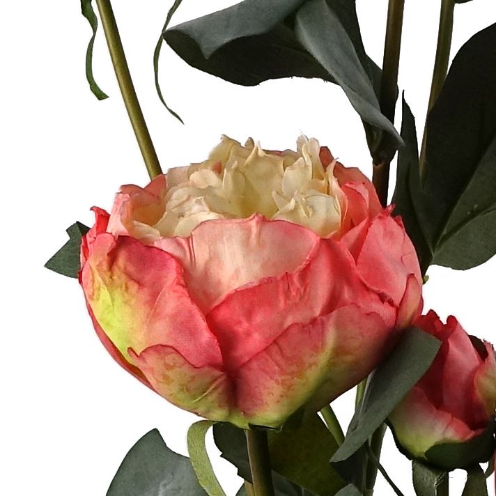 6 x 55cm Pink Peony Artificial Flower Stems - 24 flowers 18 buds