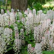 Shutterstock_2306030305.jpg