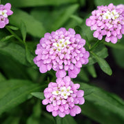 8c652e0e-e03d-4a55-9a0a-da9821184e4b.png