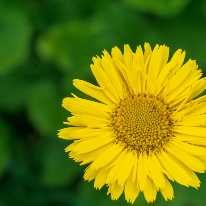 dc86a634-4207-4837-ab32-2611ee2c7f5c.png