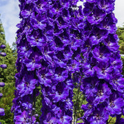 9f666a6d-2b7f-41b8-b0b3-6a80f93fb332.png