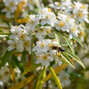 S0671632759_13.jpg