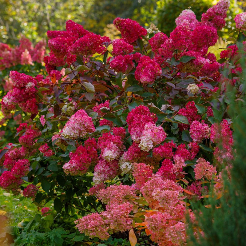 S0671632769_11.jpg