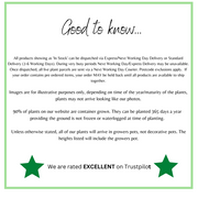 S0671632769_13.png