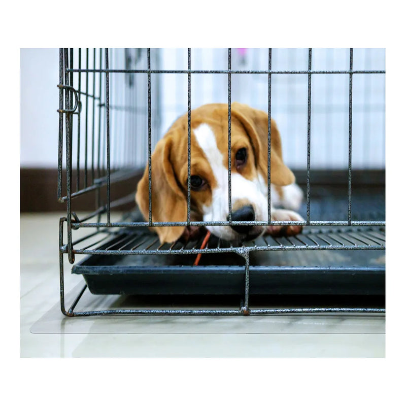 gallery_1.webp