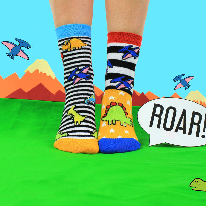 6 Pack Boys Sockasaurus Novelty Dinosaur Socks in Gift Box