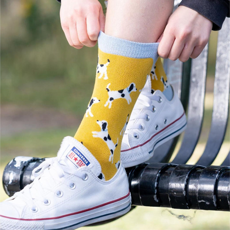 1 Pack Ladies Novelty Parisian Puppy Bamboo Socks