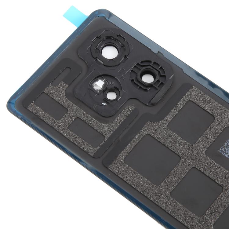 For Realme GT 6 Global Original Back Cover with Camera Lens Cover, For Realme GT 6 Global(Original with Camera Cover), For Realme GT 6(Original)