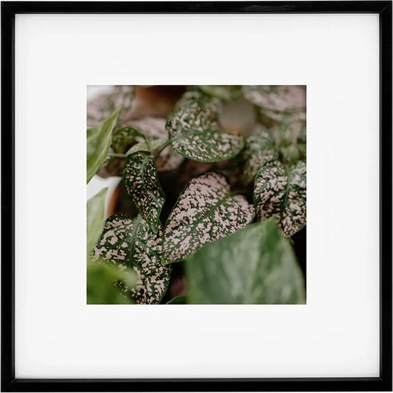 Kenro Strata Photo Frame 10x10 with 5x5 Mat - Black