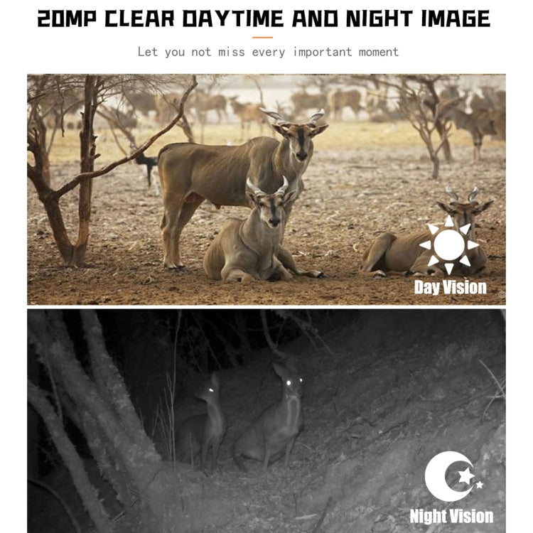 PR700 1080P Wildlife Hunting Camera Motion Activated Night Vision Camcorder for Outdoor Tracking Scan Trigger, PR700