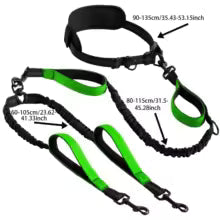 Explosive Double Dog Running Lead