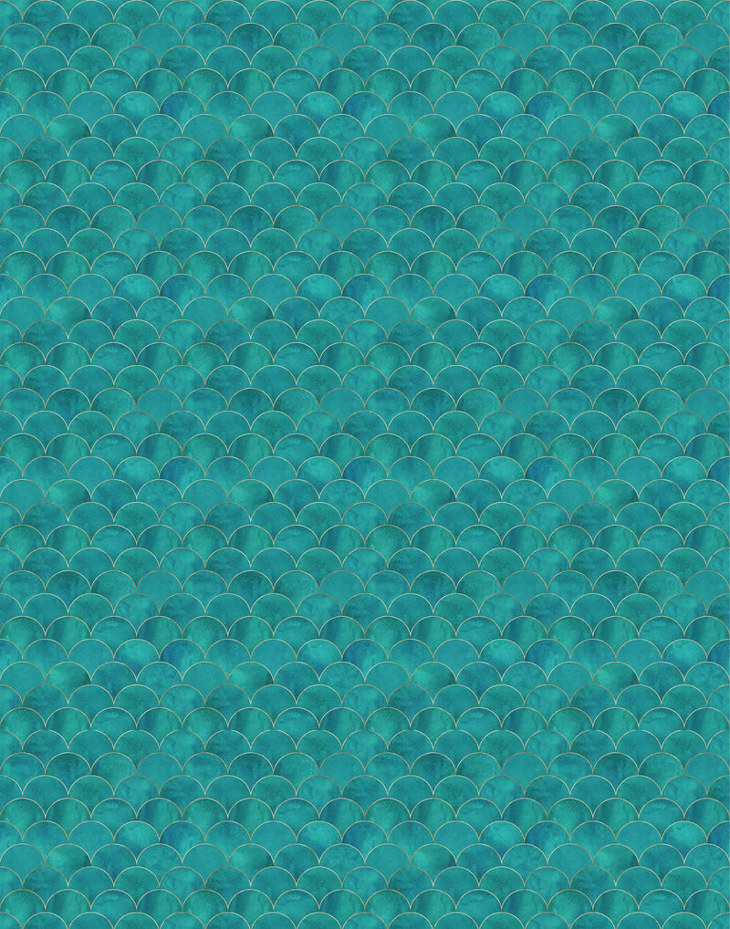 Scallop