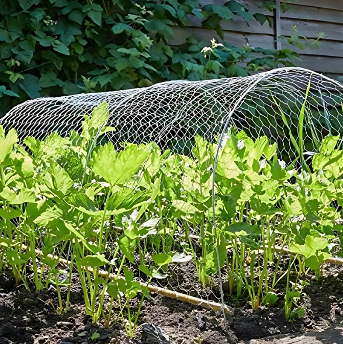 Garden Wire Netting Mesh Galvanised Panel Fencing