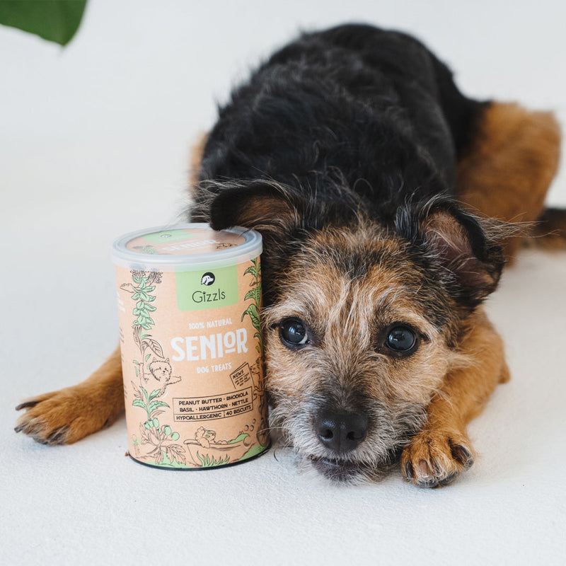 Senior Dog Treats