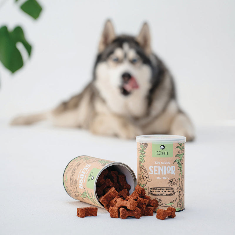 Senior Dog Treats