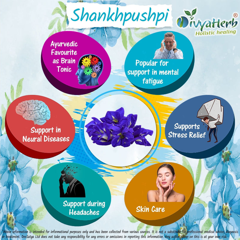 DivyaHerb Shankpushpi Powder 100 gram - Calm & Focus Support