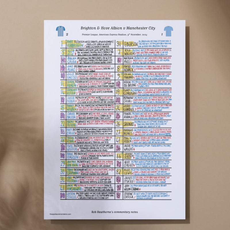 Brighton v Manchester City, Premier League 2024 - Hawthorne