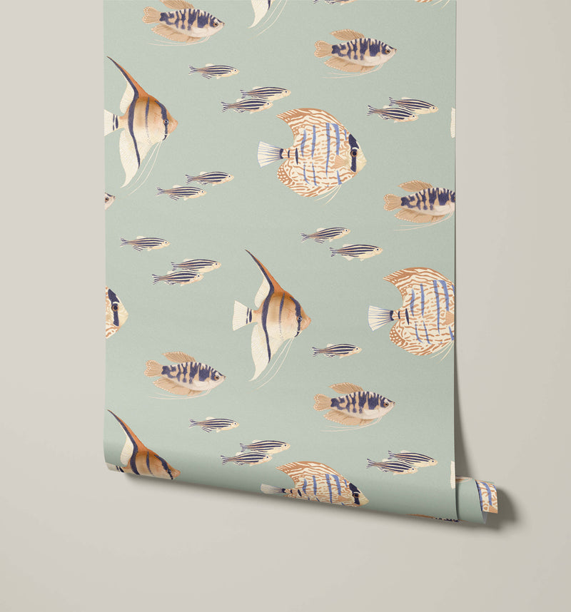 Shoal