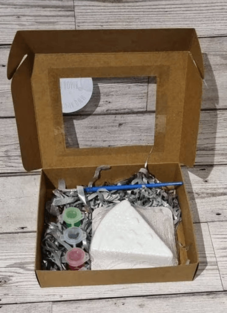 Watermelon Paint Your Own Bath Bomb Kit
