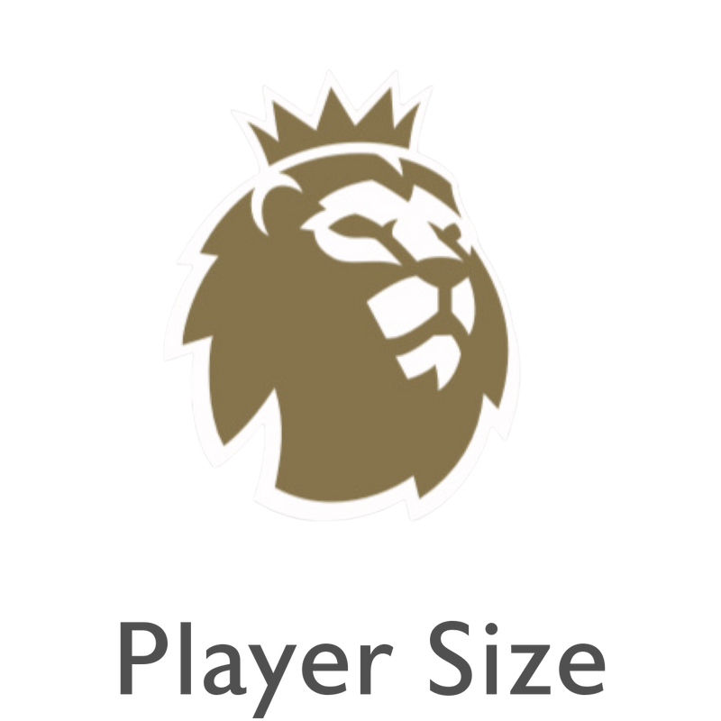 2023-26 Premier League Champions Player Size Sleeve Badge
