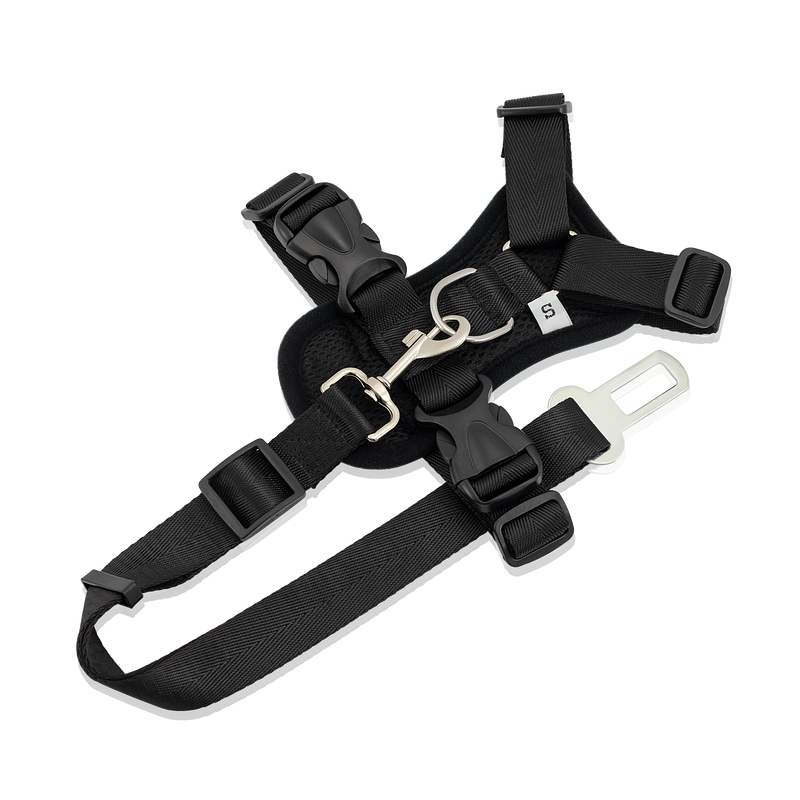 Strap Harness